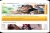 Perfect Council Website 2009