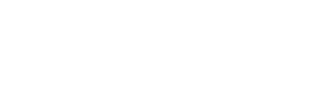 Braintree Council logo in white