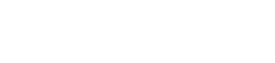 Birmingham city council
