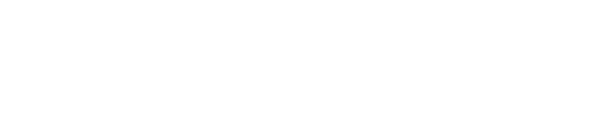 Runnymede Borough Council