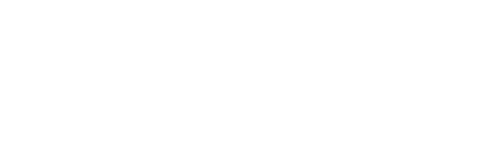 whitespace work software logo in white